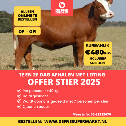 Offer stier 2025  - KURBANLIK / p.p.